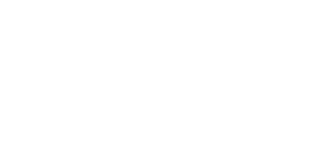 Logo Feestweek Vijfhuizen